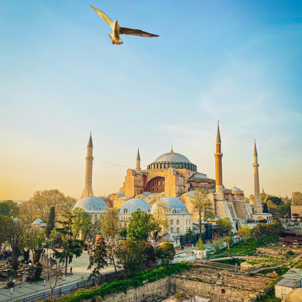 Pexels Photo 12543917 12543917 1024x1024